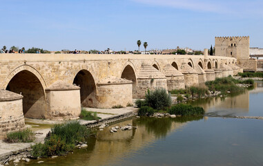 Fototapeta na wymiar Busy with tourists Roman Bridge or Puente Romano in Cordoba Spain