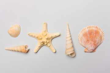 Sea shells on color background, top view