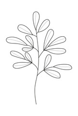 Plant branch, leaf doodle vector. Vintage hand drawn tree branches with leaves and flowers.