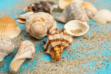Sand and shells on blue background