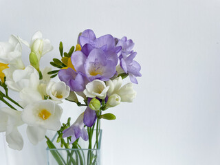 Naklejka na ściany i meble Bouquet of purple violet and white freesia flowers close up isolated on white background, floral wallpaper background with blooming freesias flowers