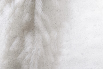 Palm leaf shadow on white concrete wall. Minimal summer exotic concept with copy space