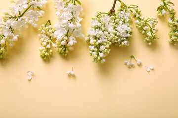 Blooming lilac flowers on beige background
