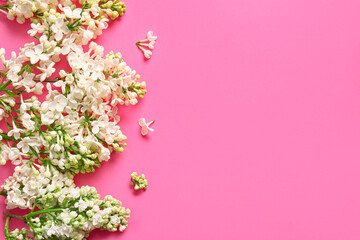Fototapeta na wymiar Blooming lilac flowers on pink background