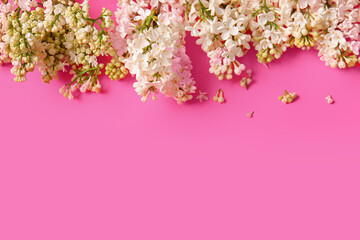 Obraz na płótnie Canvas Blooming lilac flowers on pink background