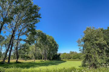 Lanscape view from the wooden pathway in Fiaes