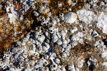 Sea rocks close up nature background high quality metal prints summer mood exploring beach places in creta island amazing feelings home decor