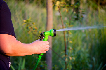 Watering garden equipment - hand holds the sprinkler hose for irrigation plants.