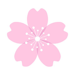 Cherry blossom flower or sakura flat icon. Sakura icon. Pink cherry flower. Vector illustration