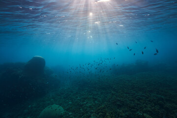 Fototapeta na wymiar underwater landscape blue sea stones fish and waves