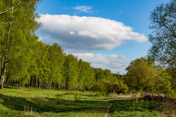 Colorful green landscape with a large cloud floating across the sky