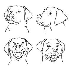  four expressive labrador retriever faces, line art
