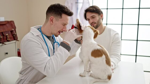 Two men examining ears dog using otoscope at veterinary clinic