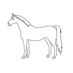 Vector hand drawn flat horse isolated on white background
