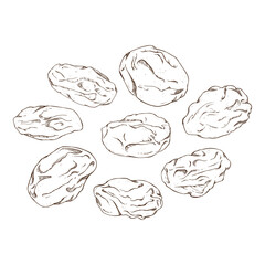 raisin clip art set