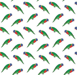 Vector seamless pattern of hand drawn doodle sketch colored lory parrot isolated on white background