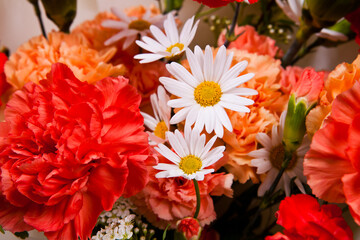 bouquet of carnations and daisies close-up