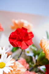 Flower bouquet on white background. Shallow dof.