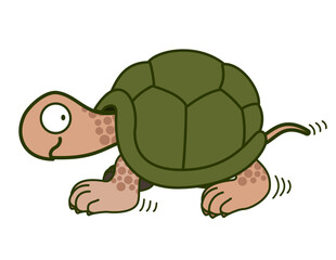 Happy Turtle