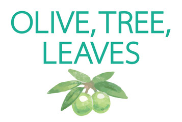 Obraz premium オリーブの水彩風イラストと、デザインテンプレート。ベクター素材。