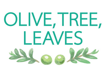 Obraz premium オリーブの水彩風イラストと、デザインテンプレート。ベクター素材。
