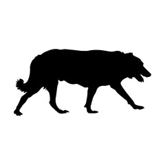 Australian Cattle Dog Vector