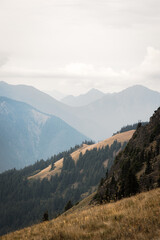 Naklejka premium Blue ridge ridge mountain layers with clouds in distance and trees on hills and meadows in foreground in Olympic National Park Hurricane Ridge in Washington state.