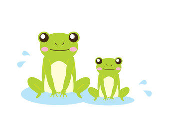 水たまりの上の2匹のカエル