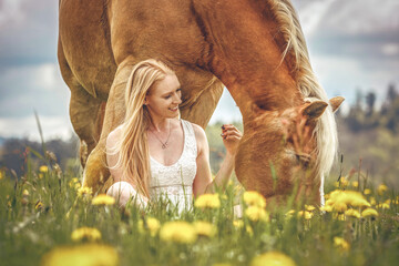 Horsemanship concept: Cute friendship scene between an equestrian woman and her haflinger horse in...