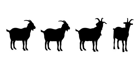 silhouette of goat. Eid al-Adha, the feast of sacrifice of the Muslim community.vector illustration svg