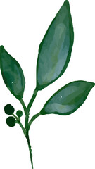 Floral Vector Illustration, Eps, Watercolor, Leaves