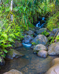 Naklejka na ściany i meble Small Stream Flowing Over The Kalalau Trail, Kauai, Hawaii, USA