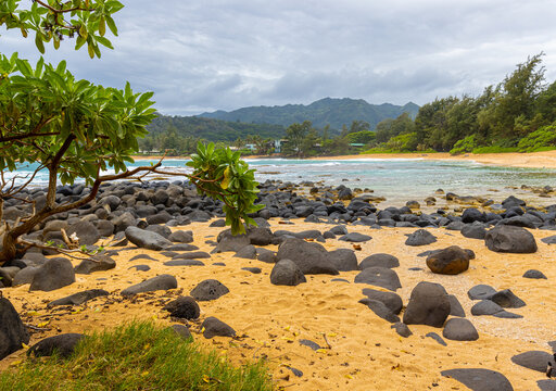 Shoreline of Lava Rocks on Moloa'a Beach and Moloa'a Bay Kauai, Hawaii, USA