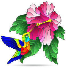 Stained glass illustration with bright hummingbird bird and flower, animal isolated on a white background