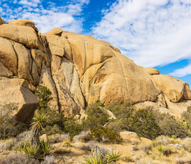 Granite Rock Formations on The Split Rock Loop Trail, Joshua Tree National Park, California, USA
