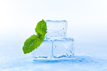 Ice cubes and fresh mint leaves, isolated on blue background © zhikun sun
