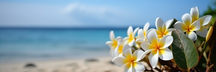 Plumeria (Frangipani) on tropical sea and beach blue sky background, Summer festive time. Generative AI - obrazy, fototapety, plakaty