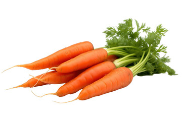 A bright and vibrant stock photo of fresh carrots on a pristine white isolated PNG