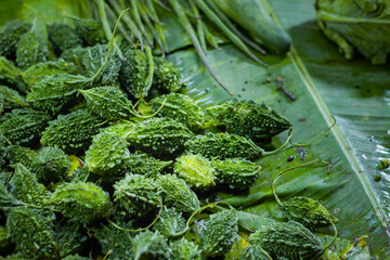 Raw bitter gourd or uchchhe of green color are kept piled up at storefront of a market for selling....