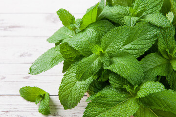 fresh green mint leaf on the wooden table