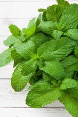 fresh green mint leaf on the wooden table © zhikun sun