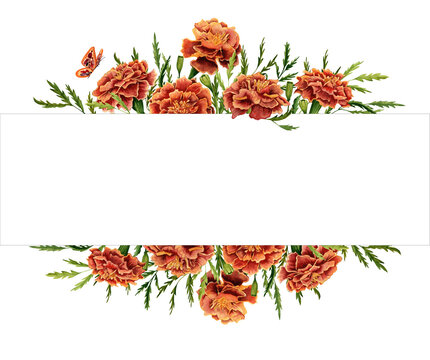 Floral frame with orange marigold or carnation flowers and green leaves isolated on white background. Hand drawn watercolor illustration.