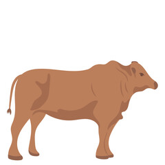 Eid Al Adha Animal Illustration Cow 01
