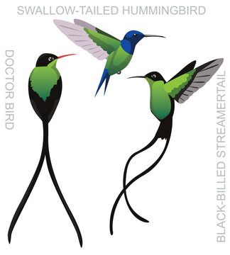 Cute Bird Hummingbird Doctor Set Cartoon Vector