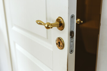 Bathroom door with vintage brass handle