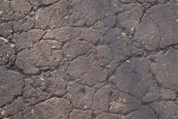 Cracked earth, place for your text
