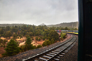 train in the forest in foggy day, chepe train in chihuahua