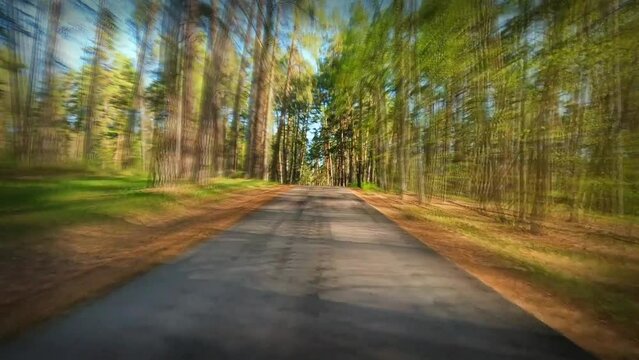 A car ride along a narrow forest road.