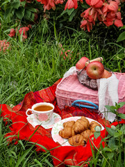 Summertime picnic setting on the grass with open picnic basket, fruit, croissants, books