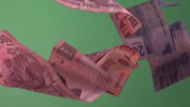 Slow motion shot of different denominations of Mexican notes falling with a green screen